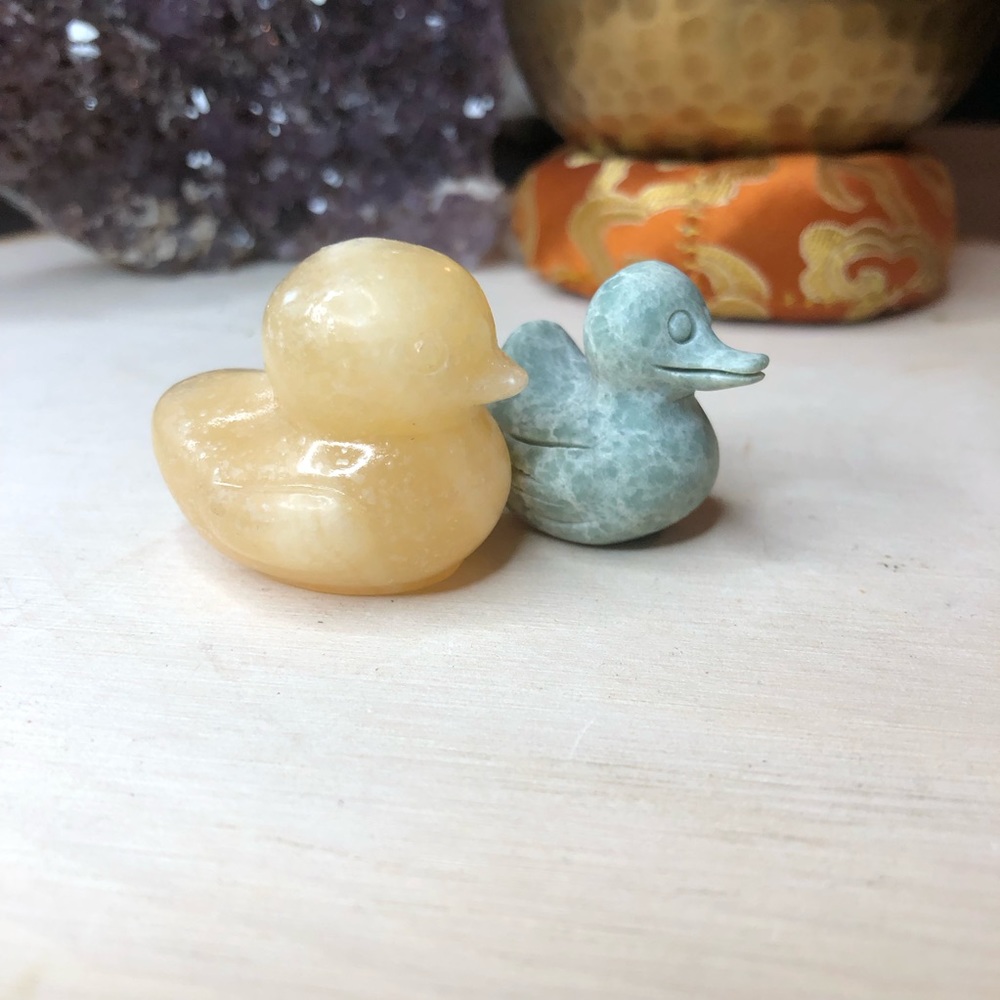 Crystal Duck Pair